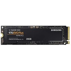  Samsung 970 EVO Plus 250 GB