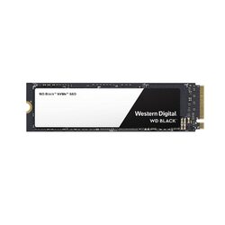  WDS250G2X0C SSD